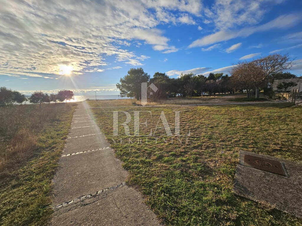 Image 6198408 - 13