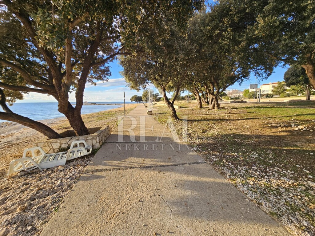 Image 6198408 - 2