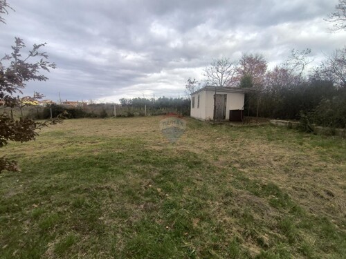 Thumbnail 6198455 - 3