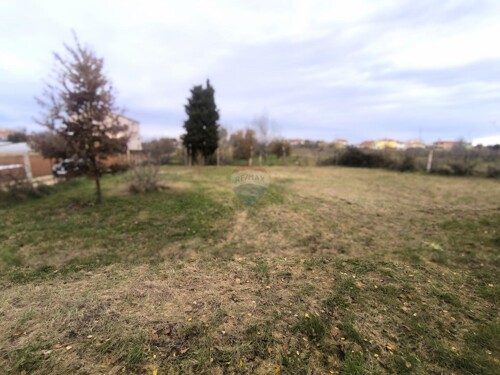 Thumbnail 6198455 - 2