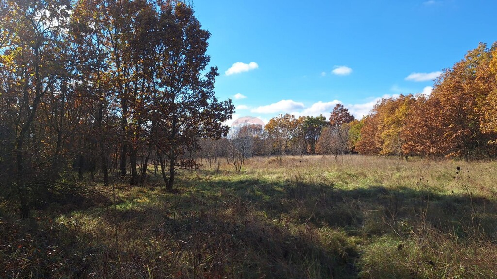Image 6198458 - 3