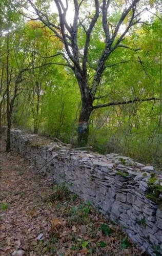 Thumbnail 6198459 - 1