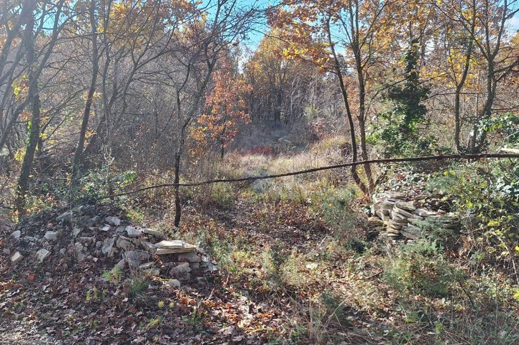 Image 6198459 - 5