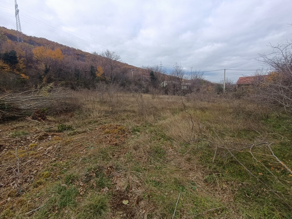 Image 6198662 - 1