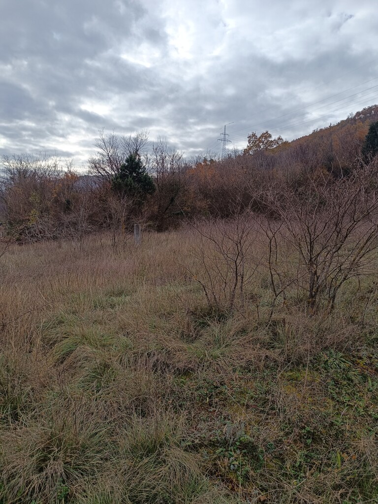 Image 6198662 - 3