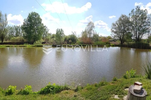Šag, Valpovo, poljoprivredno zemljište s ribnjakom, površine 38.836 m2