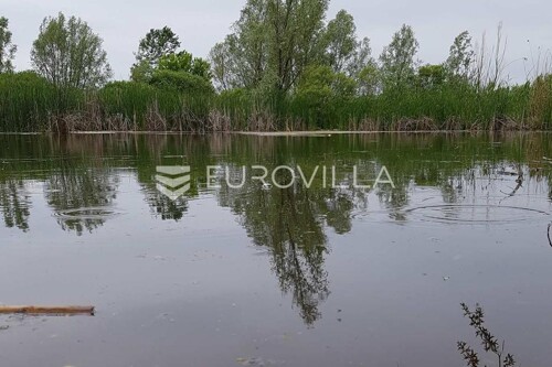 Šag, Valpovo, poljoprivredno zemljište s ribnjakom, površine 38.836 m2