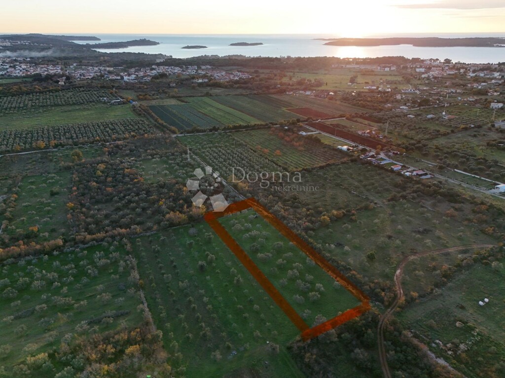 Image 6198776 - 1