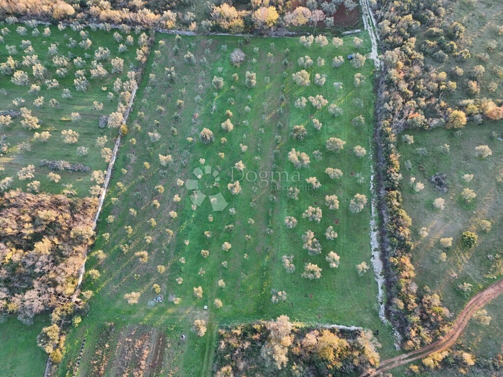 Image 6198776 - 3