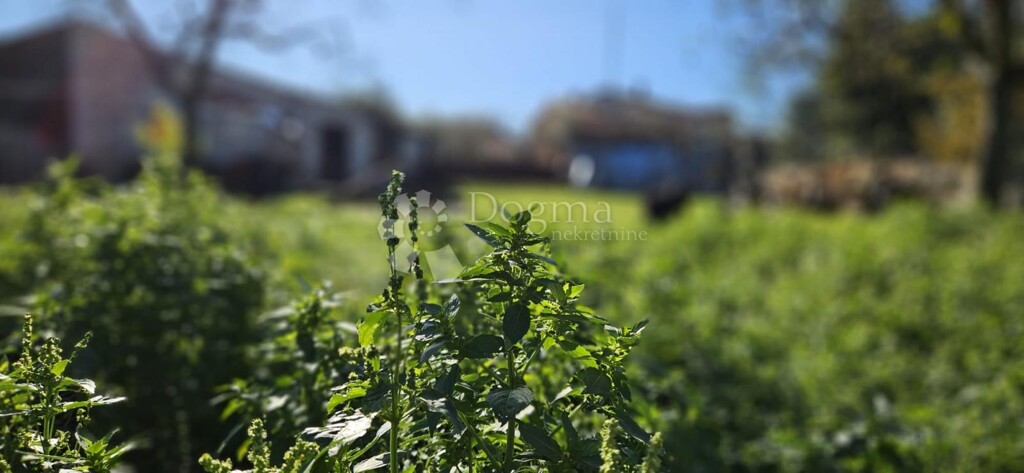 Image 6198785 - 12