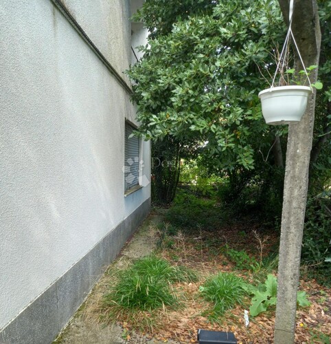 Thumbnail 6198797 - 8