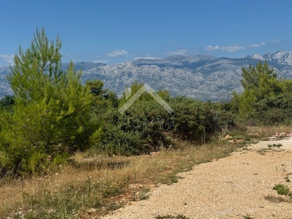 Image 6198818 - 5