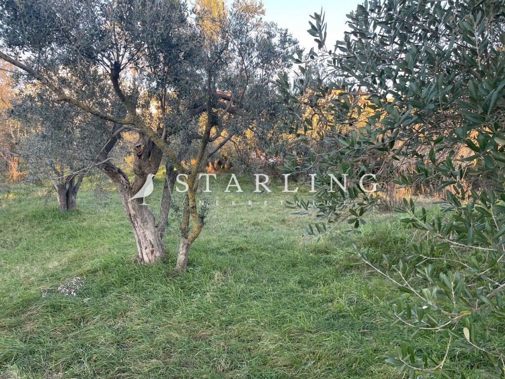 Image 6198820 - 1