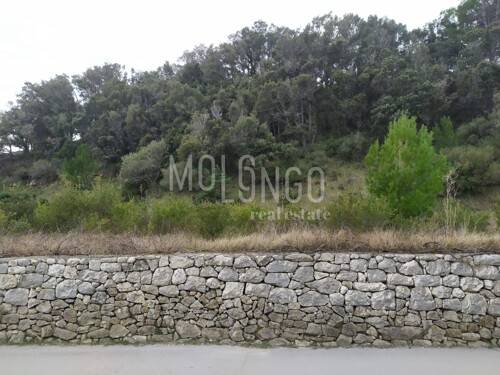 RAB, SUPETARSKA DRAGA zemljište 1.154 m2 2. red do mora