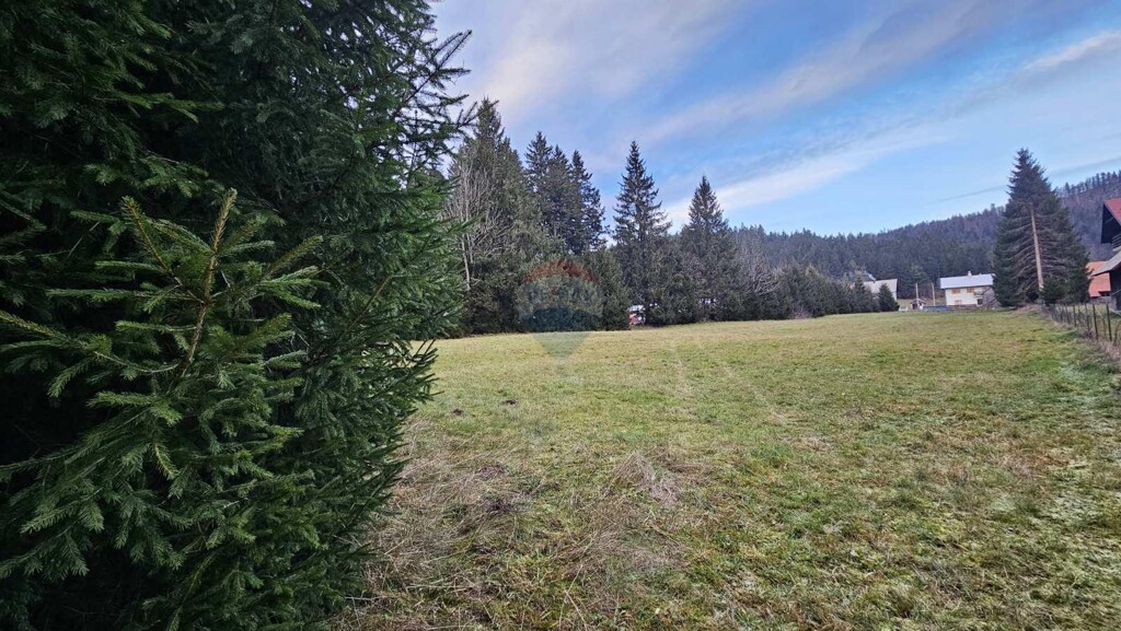 Image 6198976 - 1