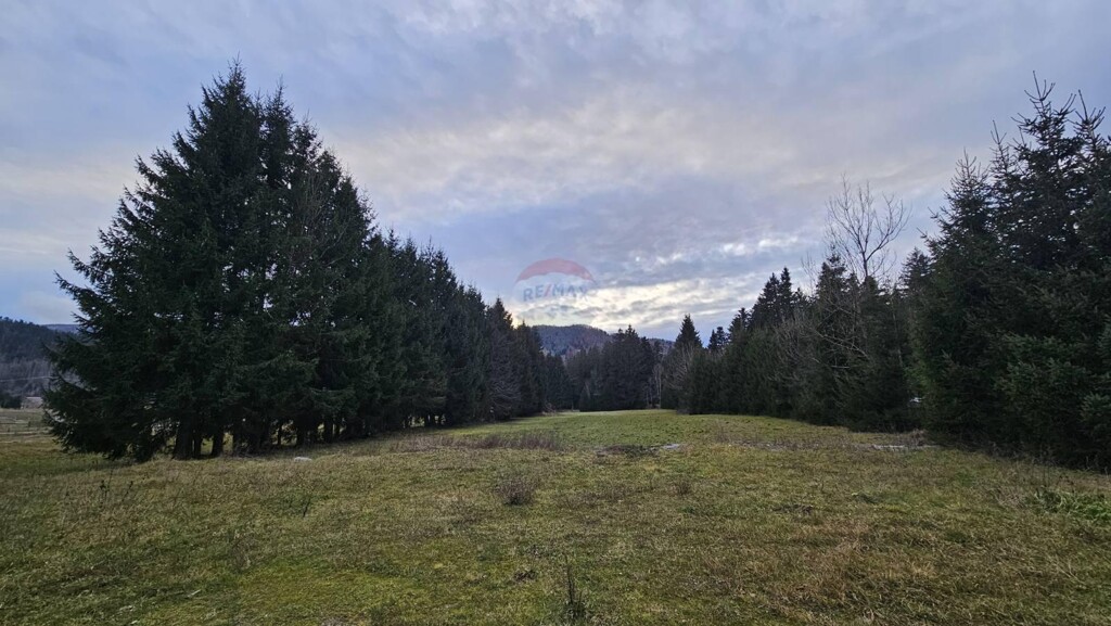 Image 6198976 - 5