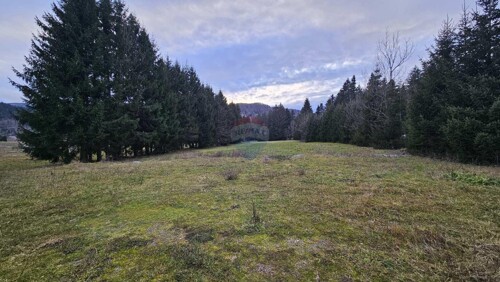 Thumbnail 6198976 - 6