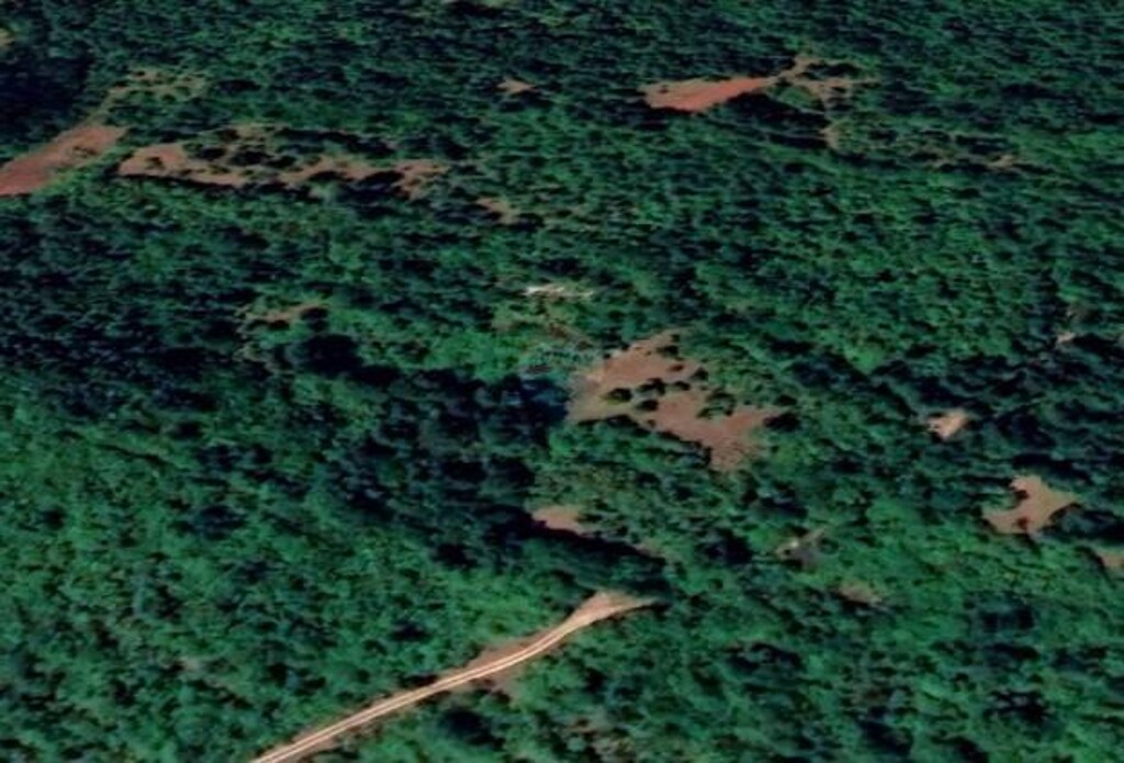 Image 6198980 - 2