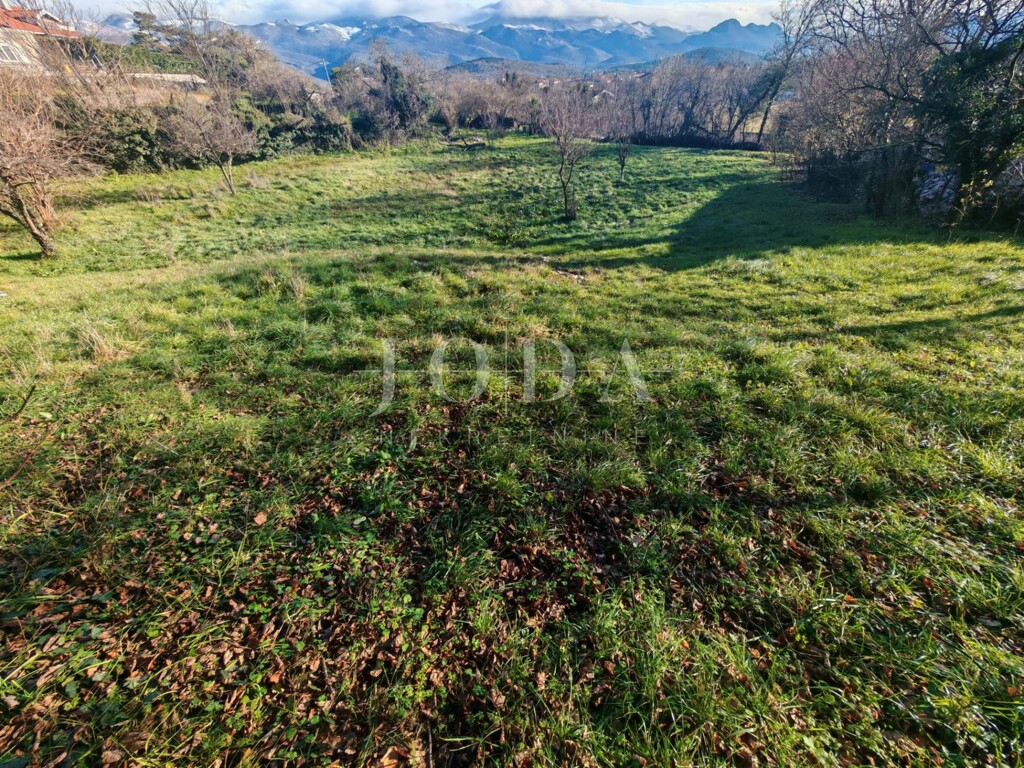 Image 6199261 - 2