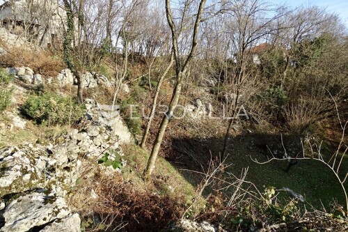 Thumbnail 6199262 - 5