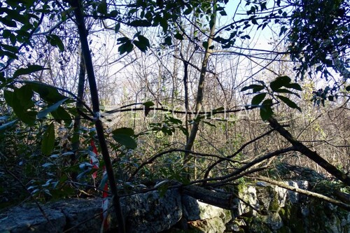 Thumbnail 6199274 - 6