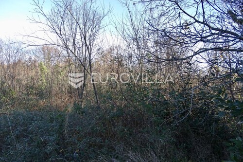 Thumbnail 6199274 - 4