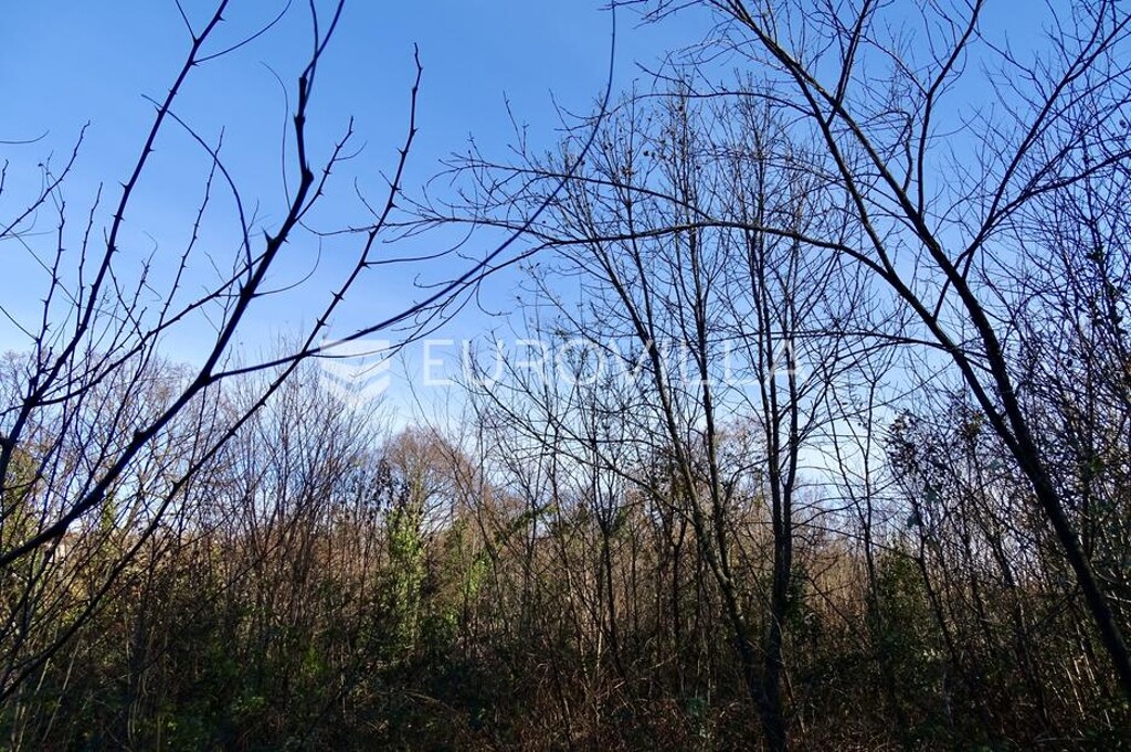 Image 6199274 - 8