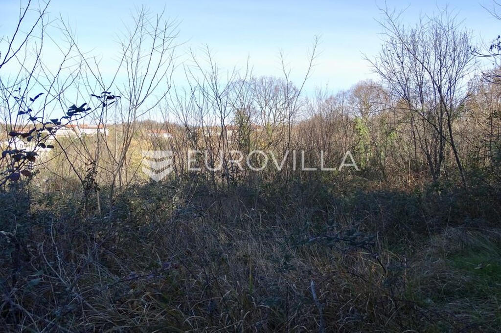 Image 6199274 - 9