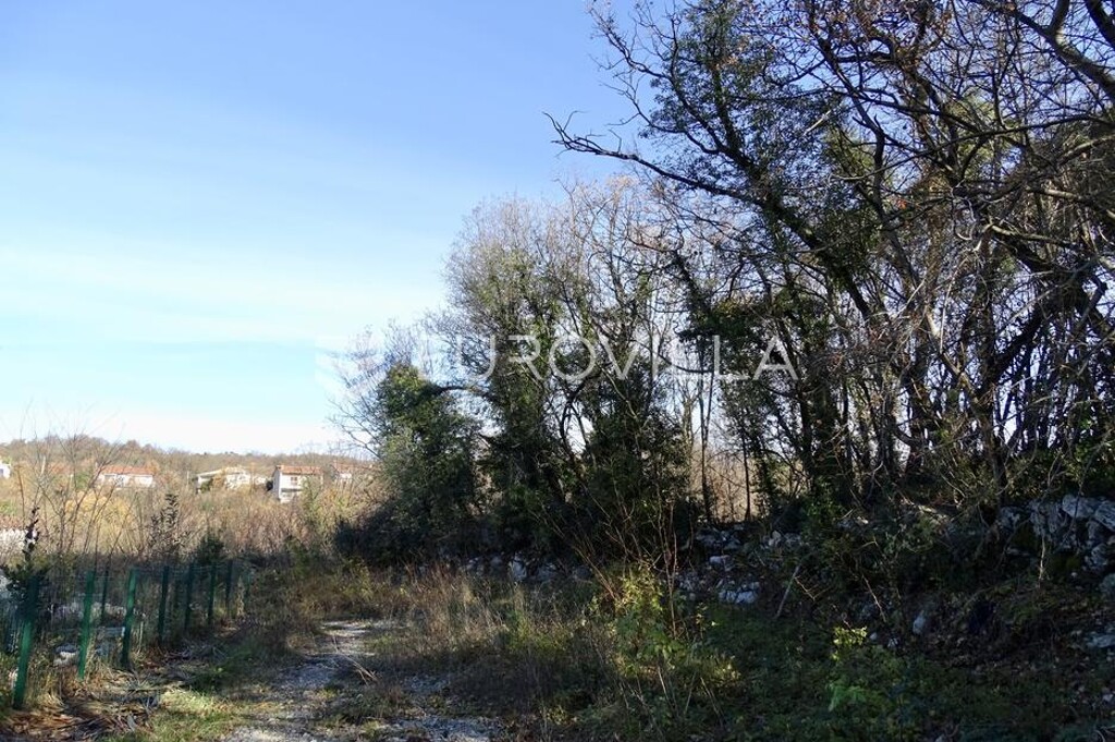 Image 6199274 - 1