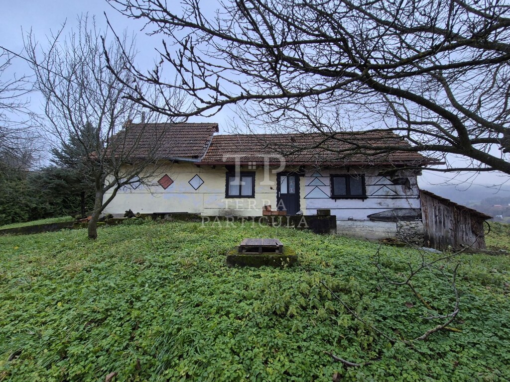 Image 6199293 - 1
