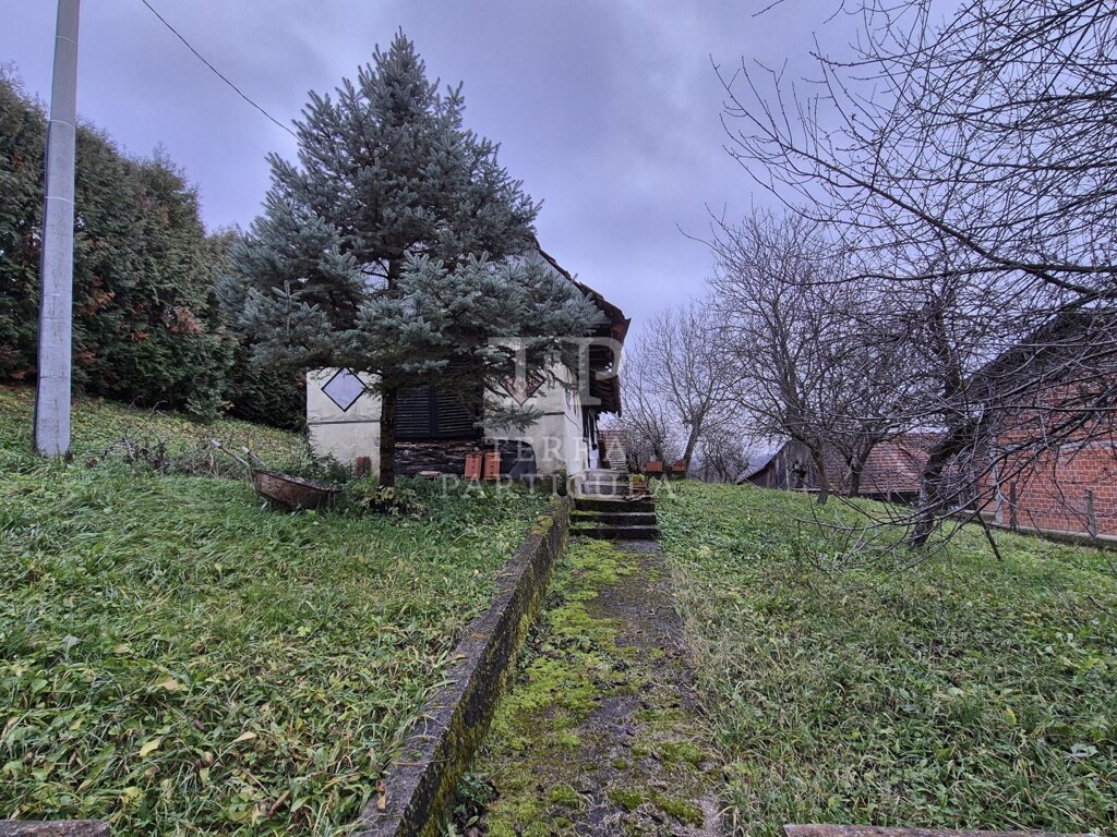 Image 6199293 - 8