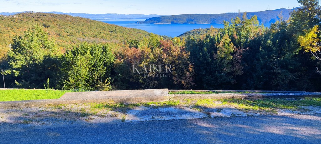 Image 6199435 - 5