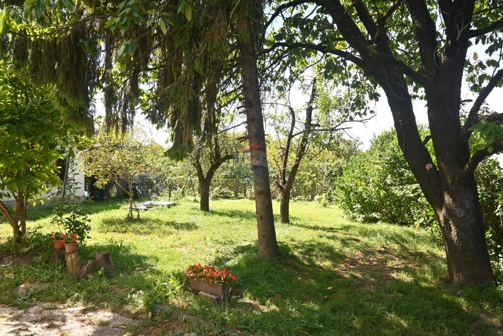 Image 6199480 - 3