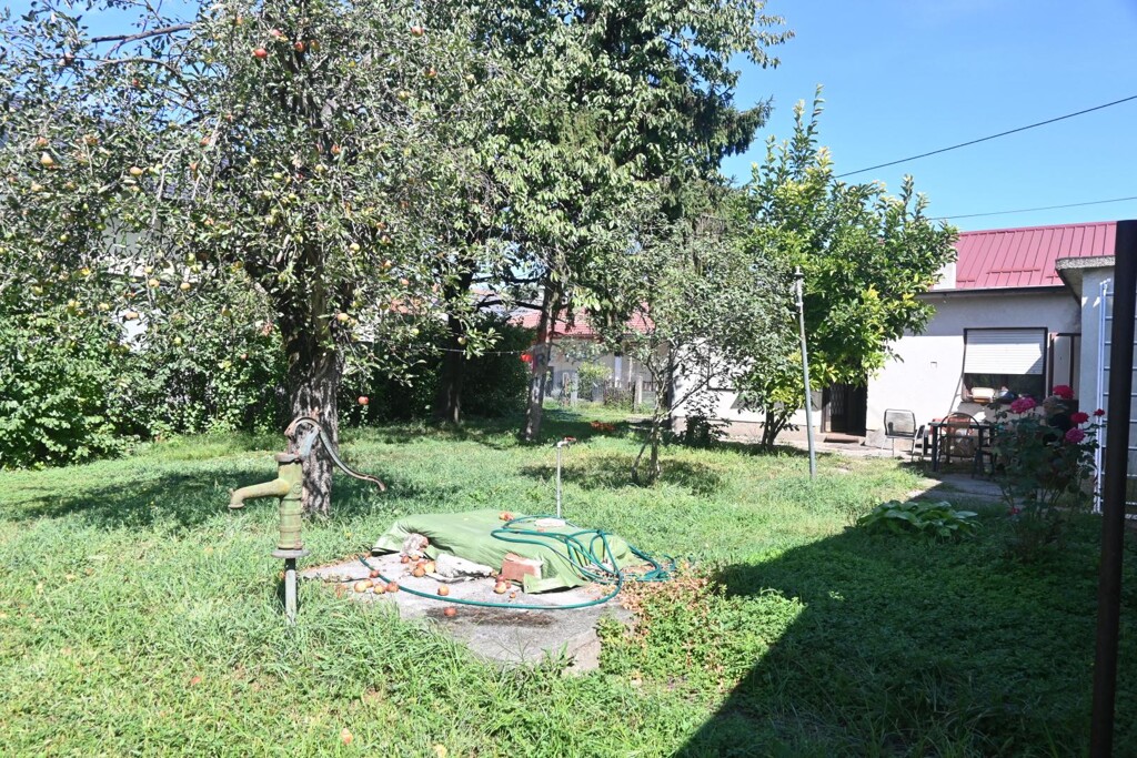 Image 6199480 - 2