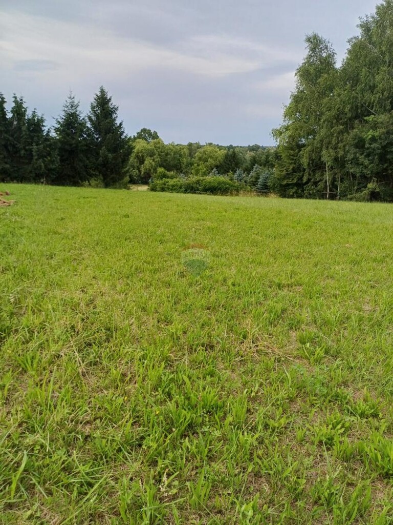 Image 6199484 - 1
