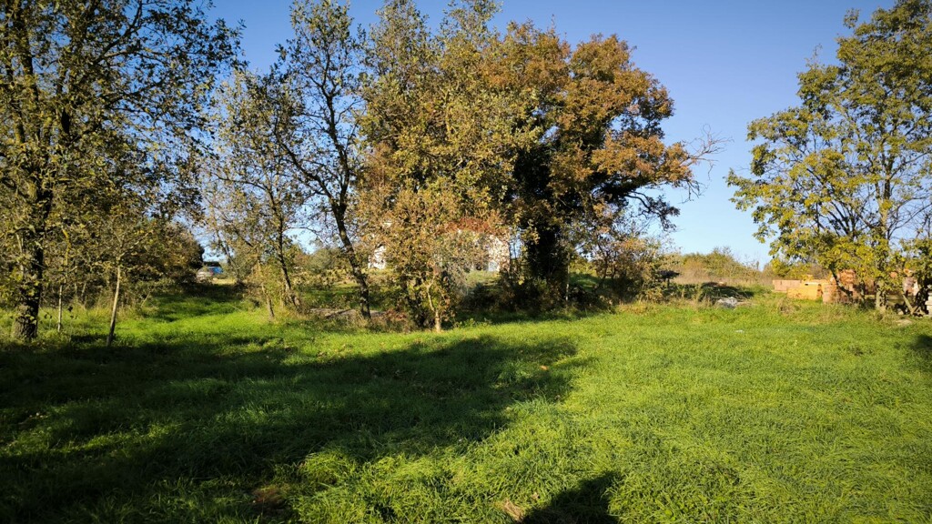 Image 6199975 - 1