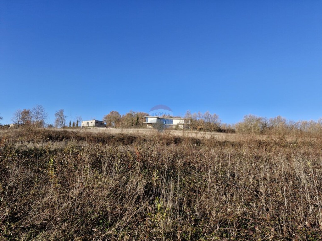 Image 6199980 - 5