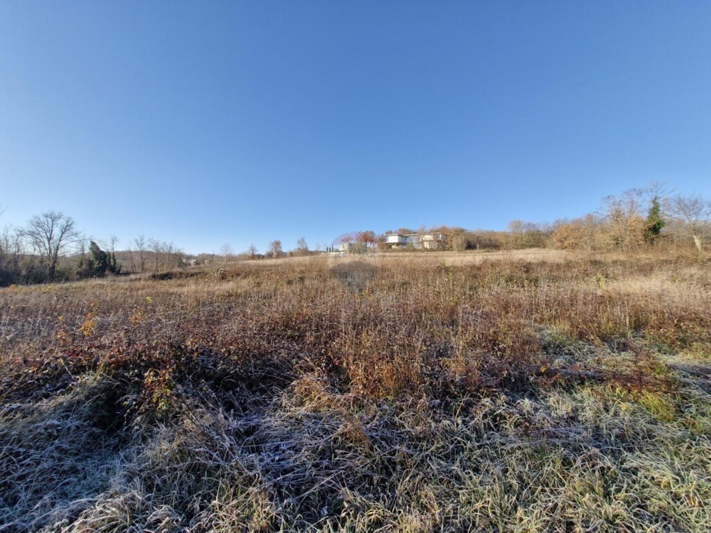 Image 6199980 - 4