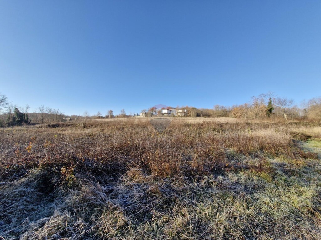 Image 6199980 - 2