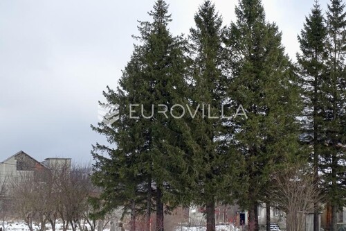 Thumbnail 6200367 - 5
