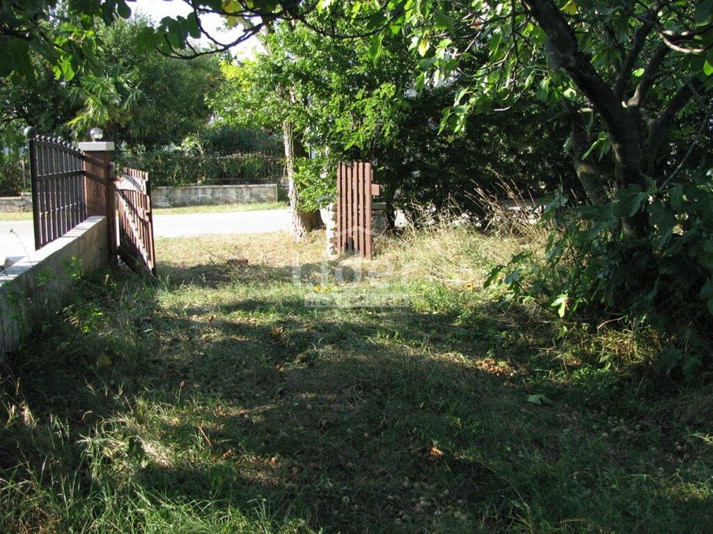 Image 6200368 - 3