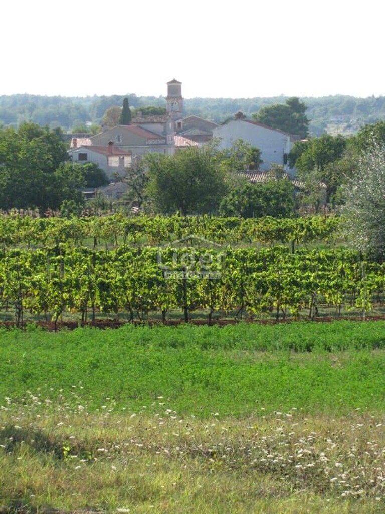 Image 6200368 - 5