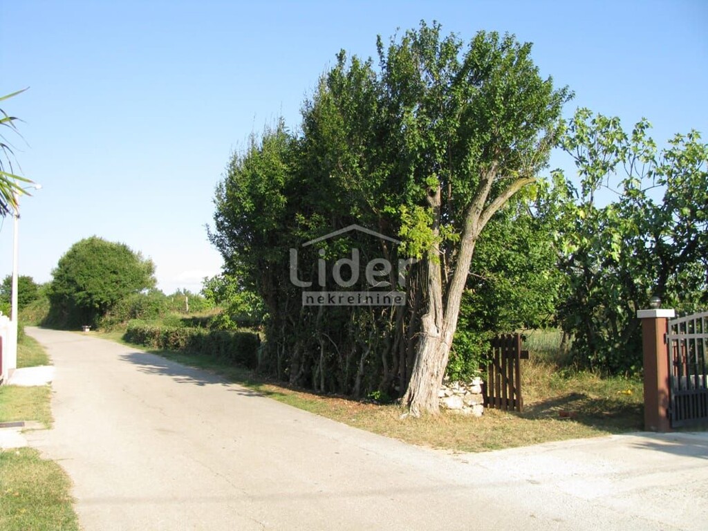 Image 6200368 - 4