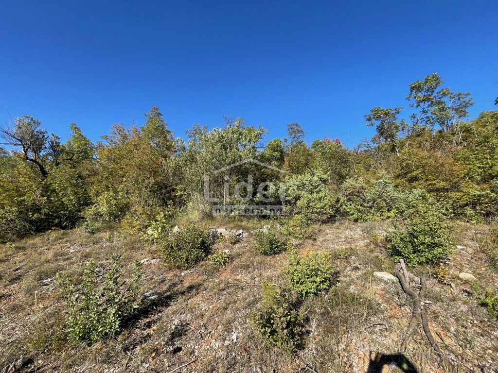 Image 6200370 - 6