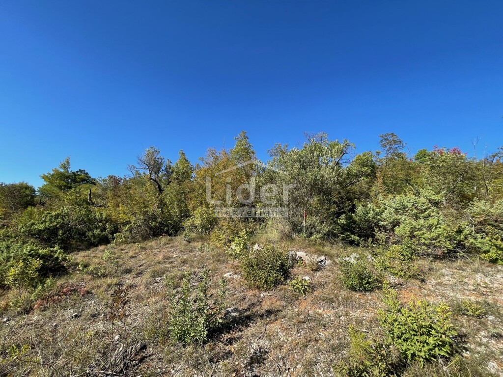 Image 6200370 - 3