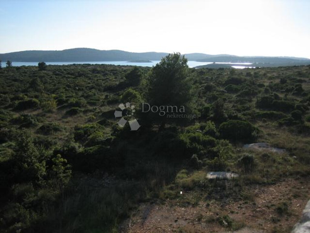Image 6200399 - 1