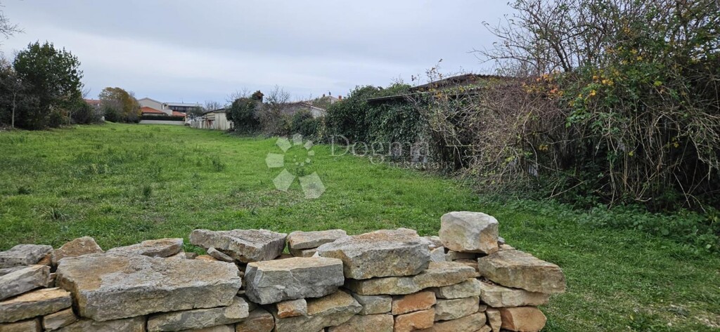 Image 6200435 - 1