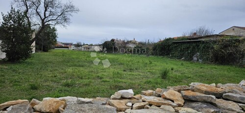 Thumbnail 6200435 - 3