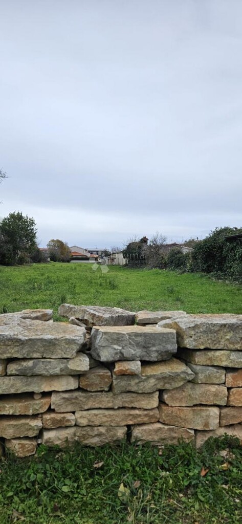 Image 6200435 - 4