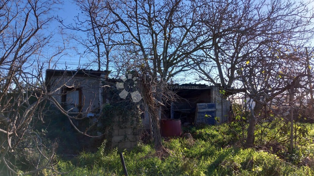 Image 6200450 - 8